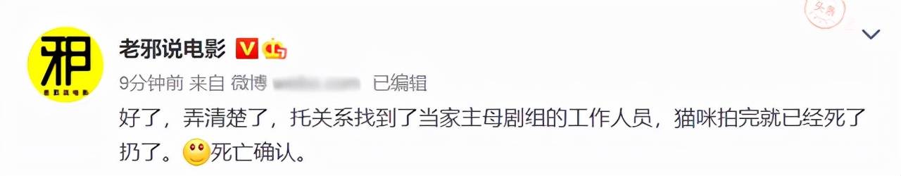 蒋勤勤|演员吃饭的镜头都可以5毛特效，为什么动物死去的镜头要来真的！