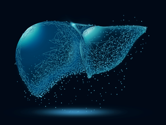 机体|肝硬化可能引起什么？