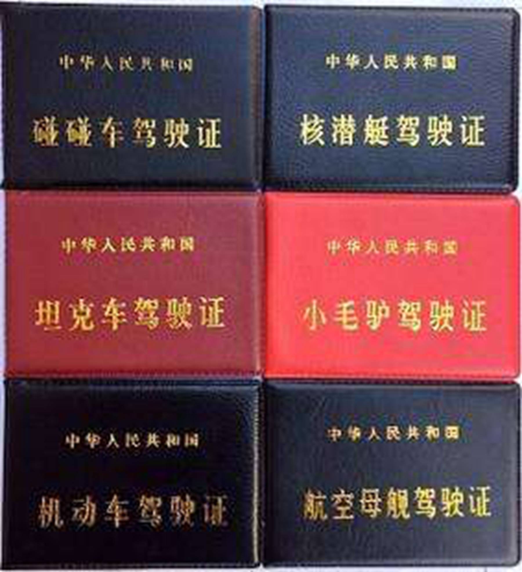 驾照考完车都没碰过,无缘无故被吊销,交警:因为你不看这四个字