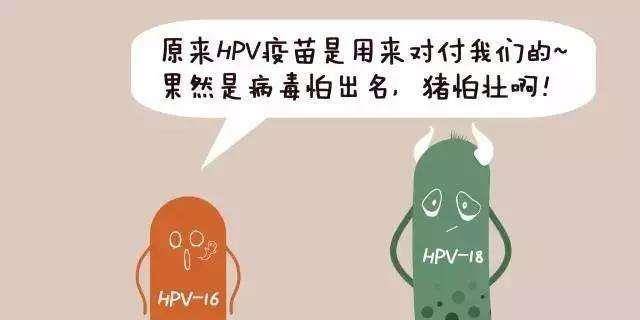 hpv疫苗是预防什么病的疫苗 45b25fba01eb45708d505abbb244e90f.jpeg