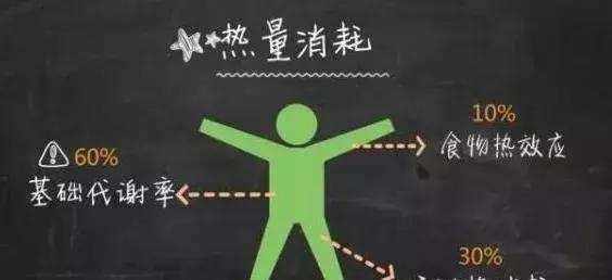 人体|4个健康瘦身好习惯,升高基础代谢率,让体重“哗哗”降下来