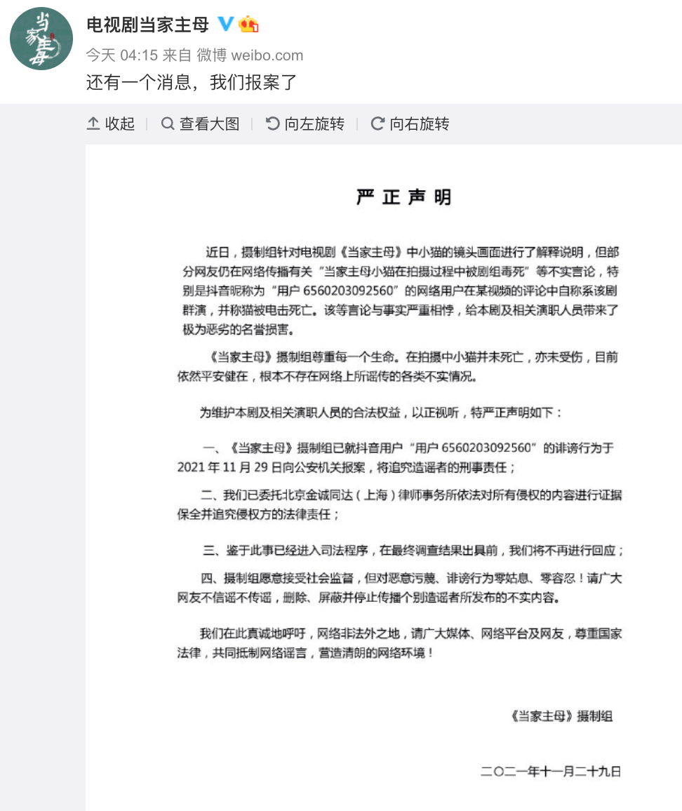 白猫|影视剧博主爆料：已确认于正新剧中的白猫死亡，“拍完就死了扔了”