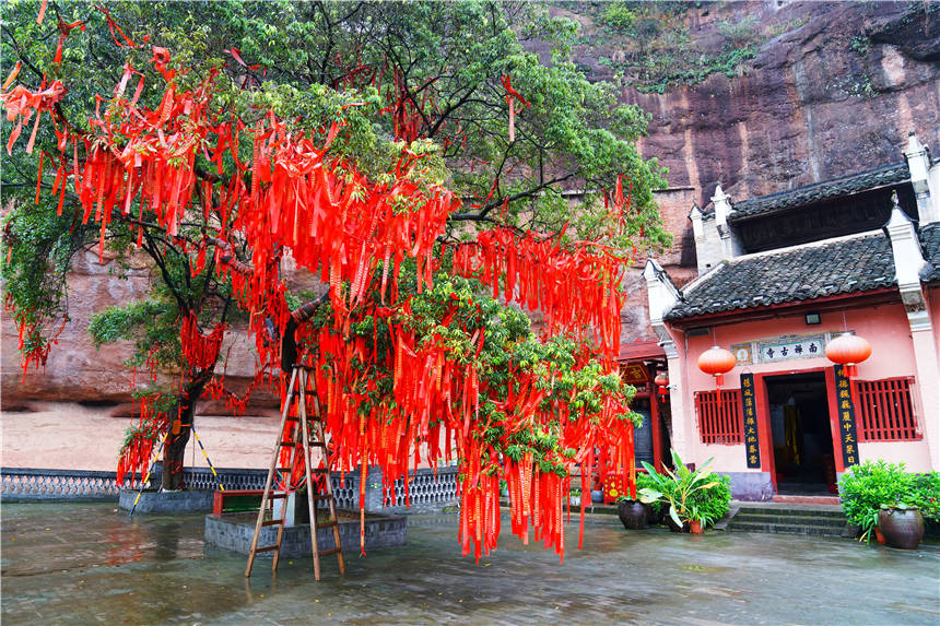 阜阳岳家湖和岳飞图片