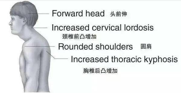 美人50岁的年龄，25岁的体态，值得吗？