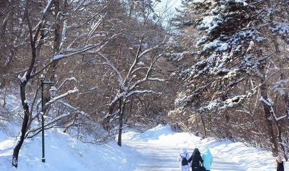 今年打算去林海雪乡游玩，看看美丽的雪景，到底坑不坑？