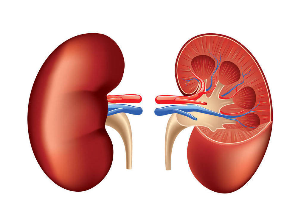 饮食|肾不好,身体会发出这4个信号,快快自查!