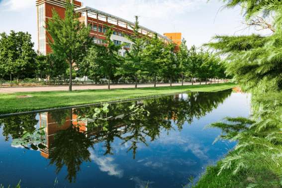 山东科技大学2022年艺术招录哪些专业2021年艺术类录取分数线