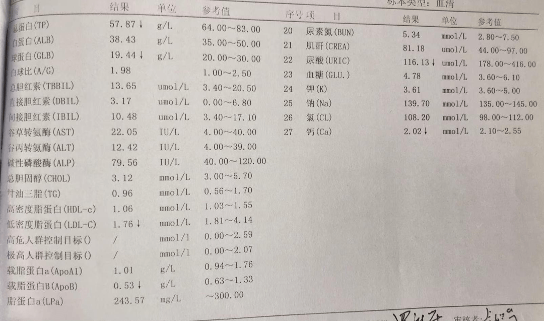 肾功能报告单单子图片