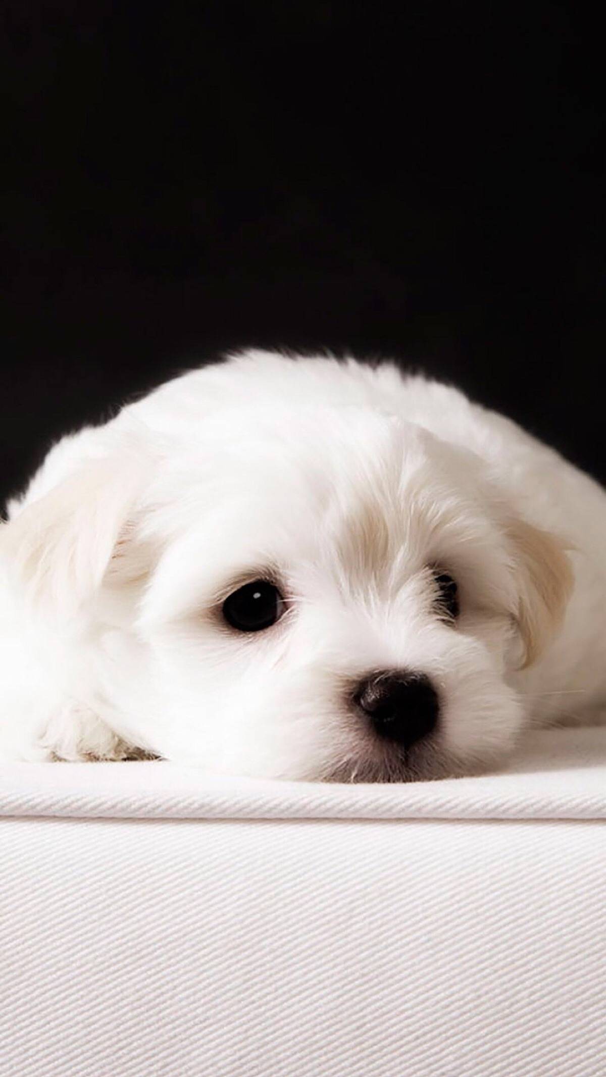 如果拥有了爱情,就别去碰暧昧._泡沫_那轮_情感