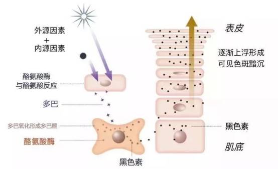 方法亲测有效变白方法 美白产品推荐学生 白到发光！！！