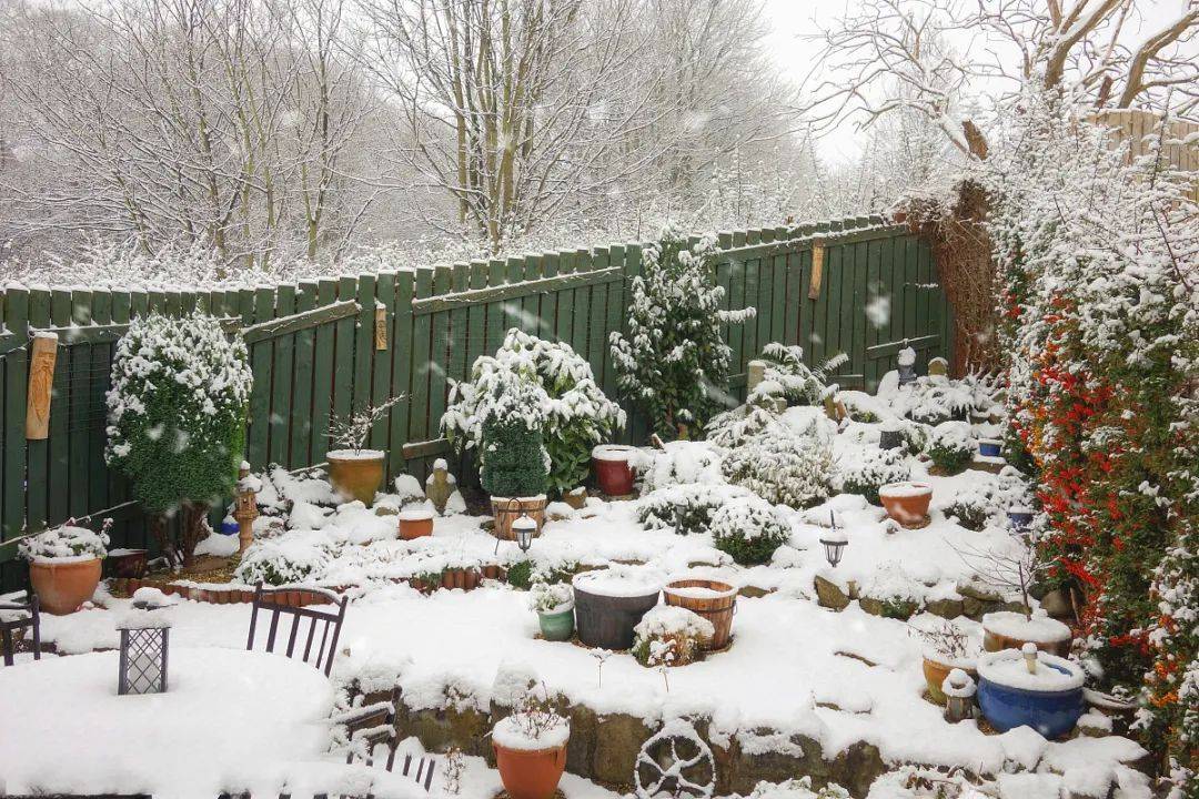 农村小院雪景图片大全图片