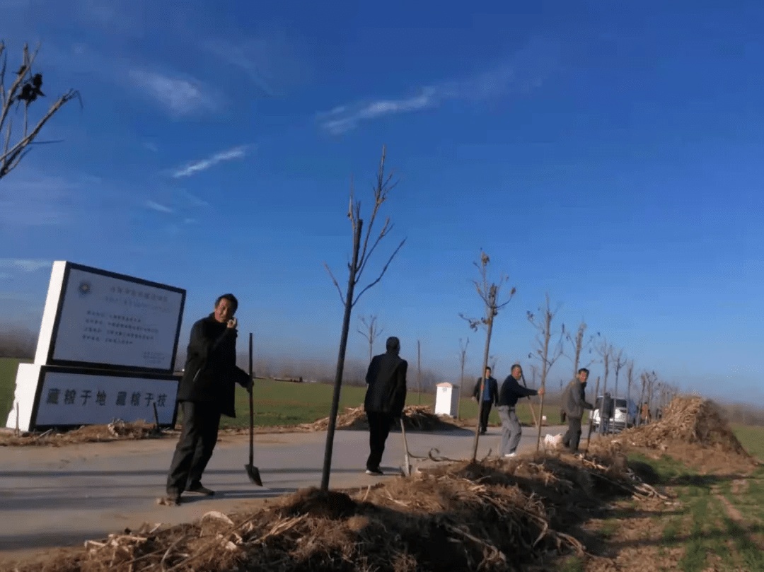 社旗县太和镇扎实开展冬季义务植树活动