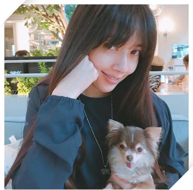 郭碧婷|郭碧婷近照曝光，狗狗遮孕肚，面色红润心情好