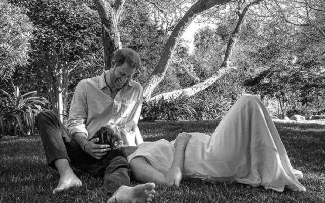 名字|莉莉贝特才六个月大,隐私全被哈里和梅根曝光,只有照片未泄露