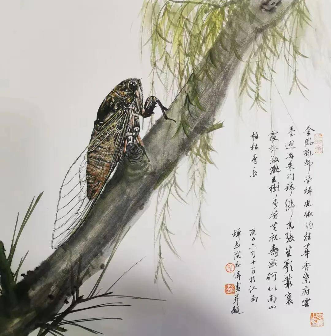 态度人物 |"江南画蝉人"陈志伟:人如其画纯粹,画如其人坚韧_苏州_艺术