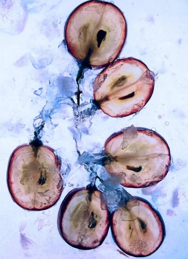 不酸|想喝红酒,但是觉得太酸怎么办?