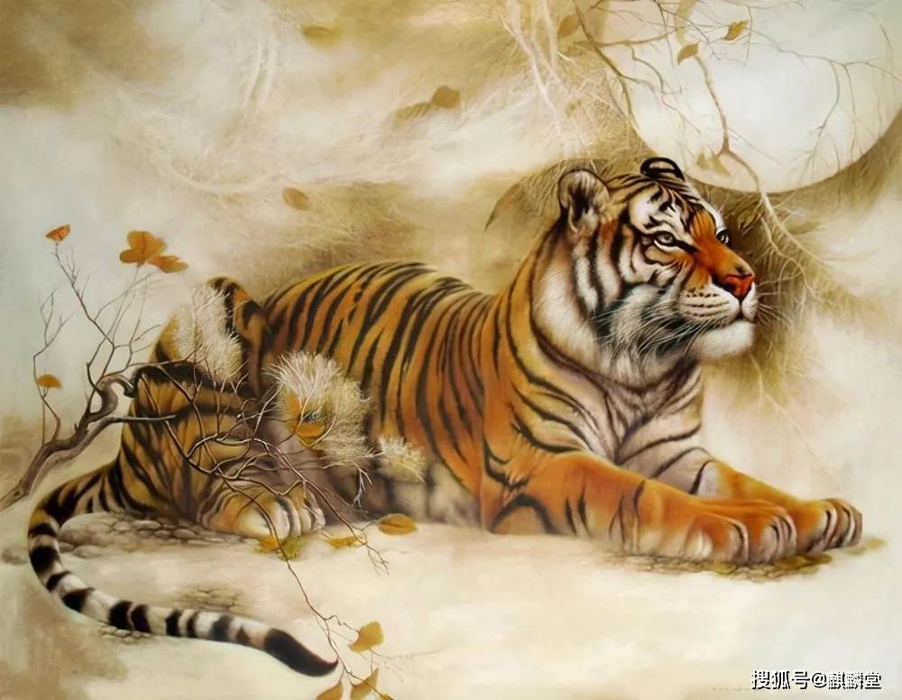 2022年属虎财运，事业，感情婚姻，健康运势及每月运程详解大全(收藏完整版)