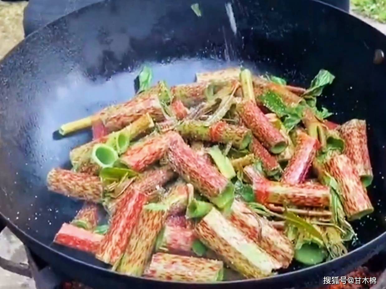 冒芽|儿时吃过的山野零食:酸筒杆,你还记得吗?它的根茎还能染色哦