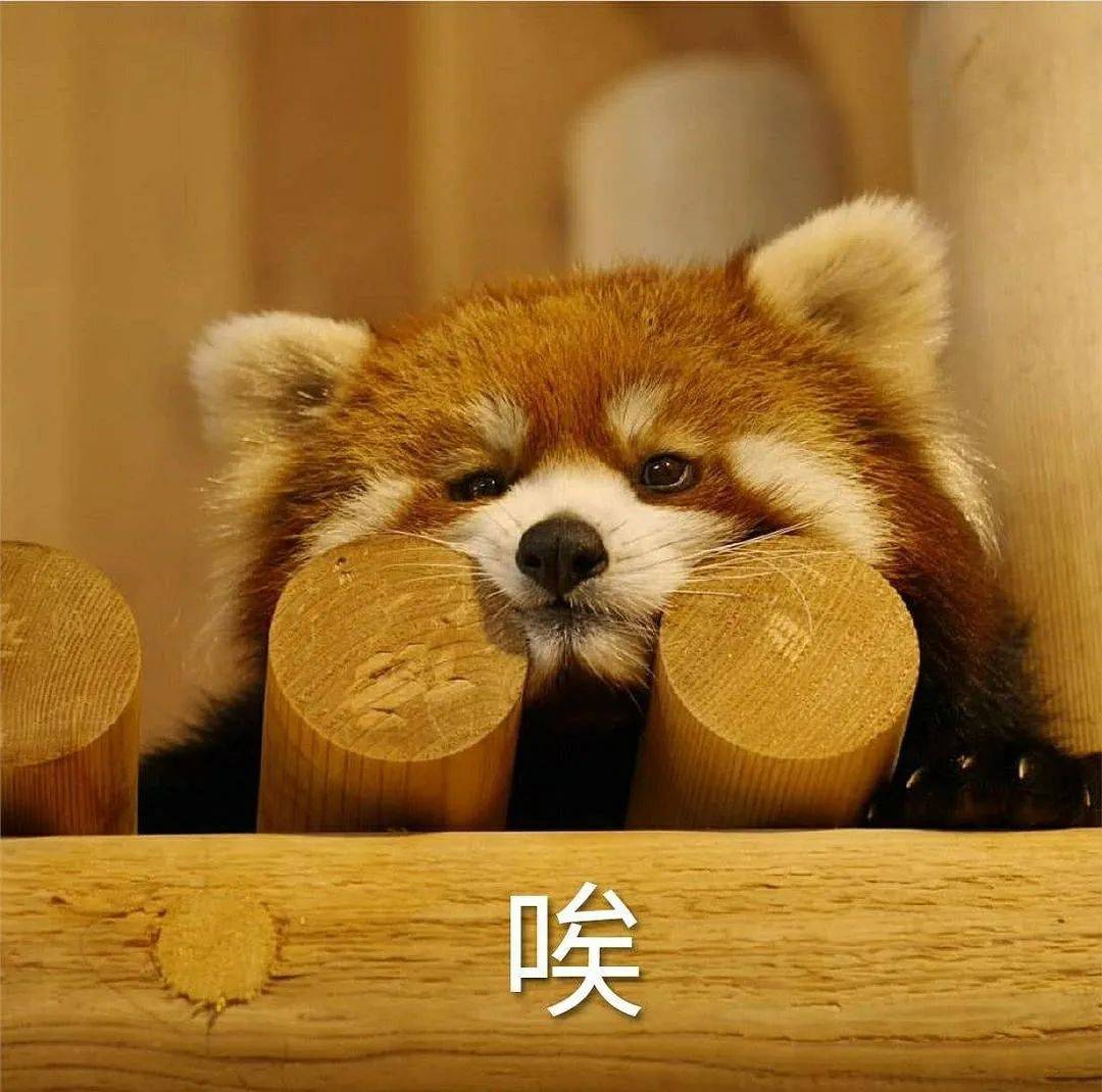 进行鼻骨内推不只是“推”，宽鼻改善轻易别动骨头啦！