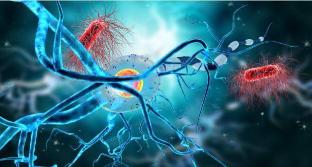 影响|运动神经元疾病