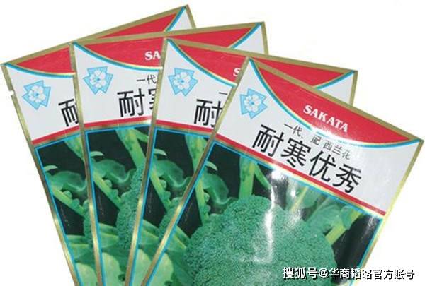 而在国际西兰花种子市场,日本是不折不扣的"霸主".