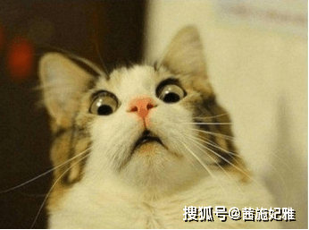 夏天茜施妃雅小课堂：夏天更容易长斑？秋冬季才是幕后“黑手”！