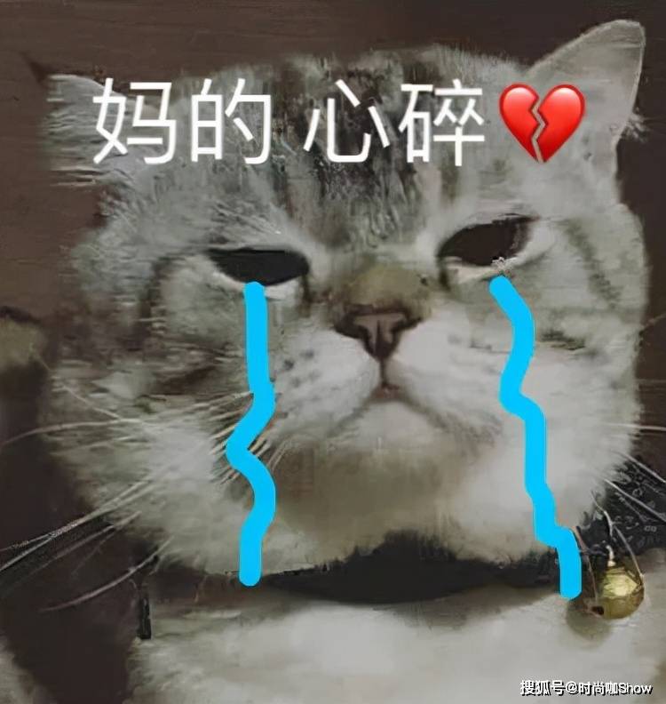 姐妹 把外套脱了！这4件内搭，保暖时髦不挑人！