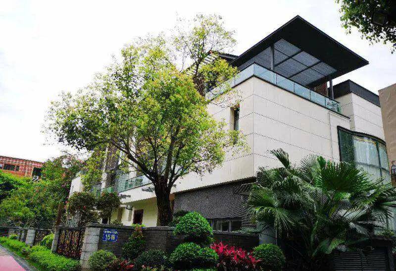 佛山千灯墅官方图文简介必看篇