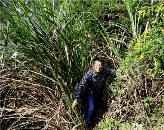 湘西人文探幽：穿越天门山夯索“轨者路”（下篇）