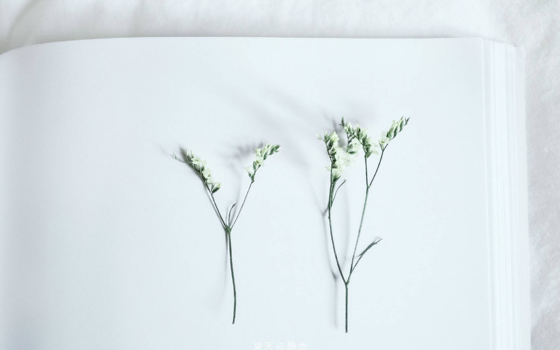 治的了你脾气的是你爱的人 受的了你脾气的是爱你的人 爱情 一个人 面包