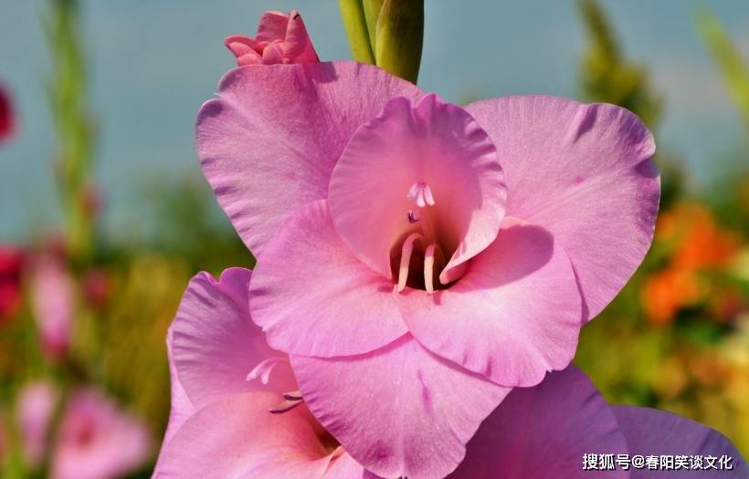 12月中旬 乌云消散 旧情重现 复合之日即将到来的4大星座 金牛座 对方 一个人