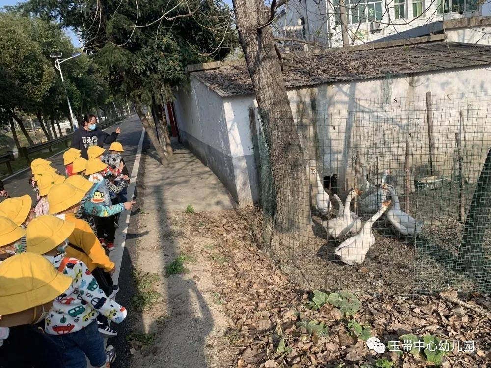 特約丨玉帶濱江幼兒園:趣味遠足 樂享自然_碾米廠_活動_進行