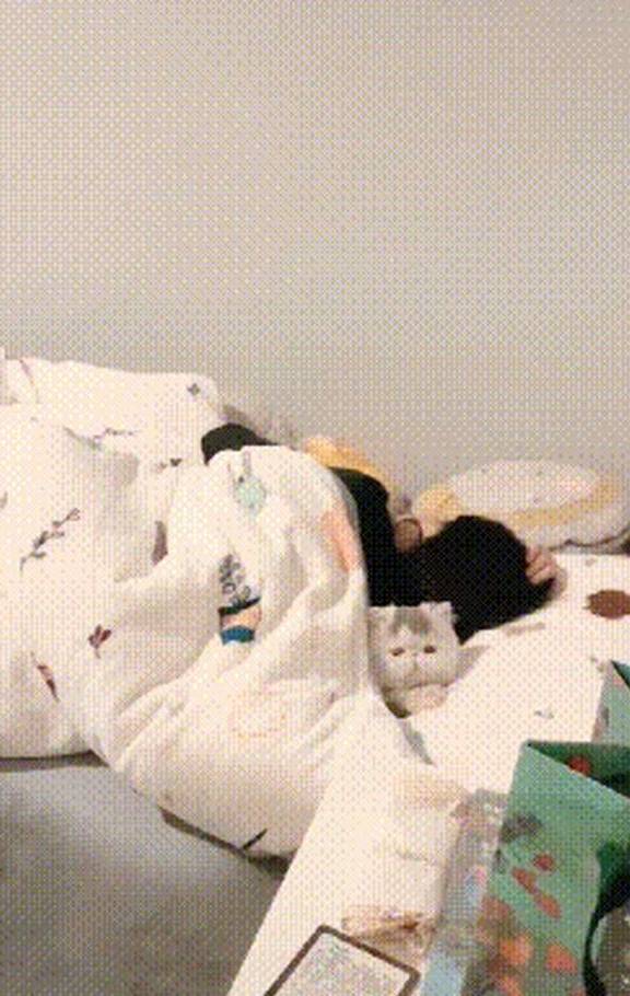 猫咪老婆生孩子，就将猫送到奶奶家寄养，两个月后来接猫时笑到扶墙走