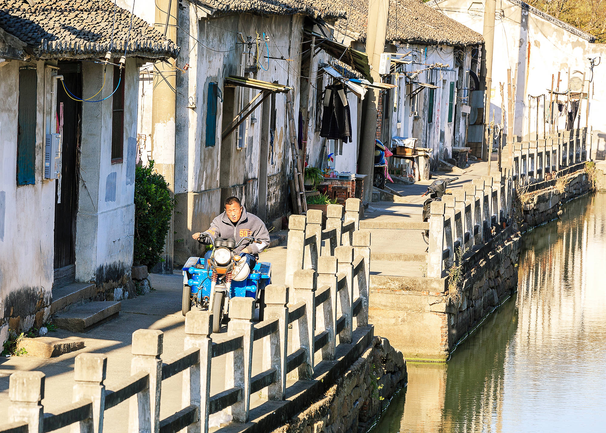 老街|古街塘河相伴的黄埭老街，碧云天、黄叶地，又到银杏金黄时