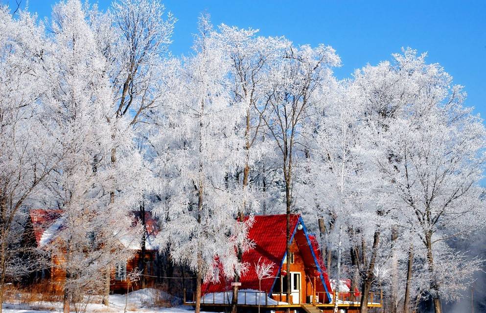 江畔|赞！在吉林玩冰雪，半个月不重样！