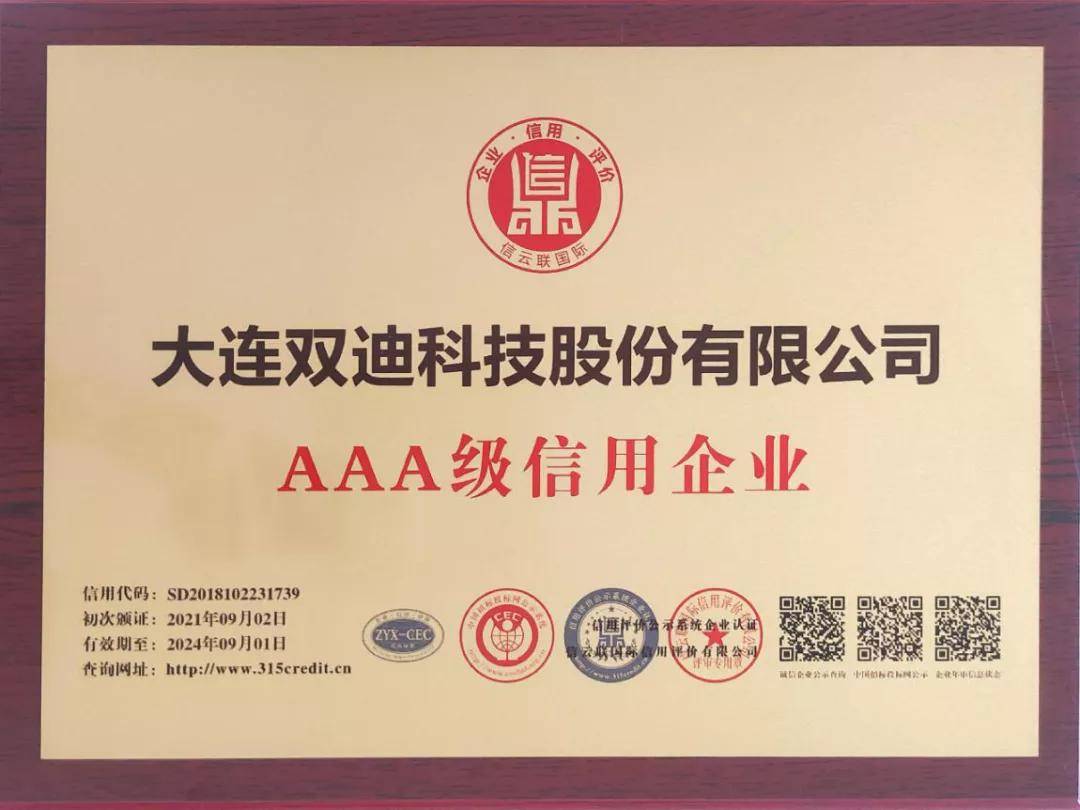 大连双迪2021是个什么年