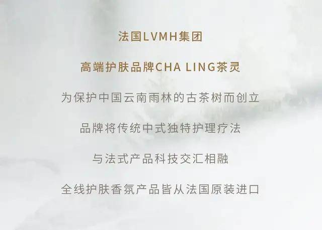 gogo置身茶林做SPA？随心挑选圣诞美礼？一站式美力空间全搞定！