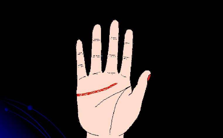 双生命线代表什么意思 e634d1ef6bf44719a2a85edb6bed66be.jpeg