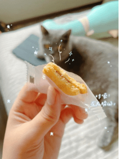能量|那一瞬间，我竟然心动了