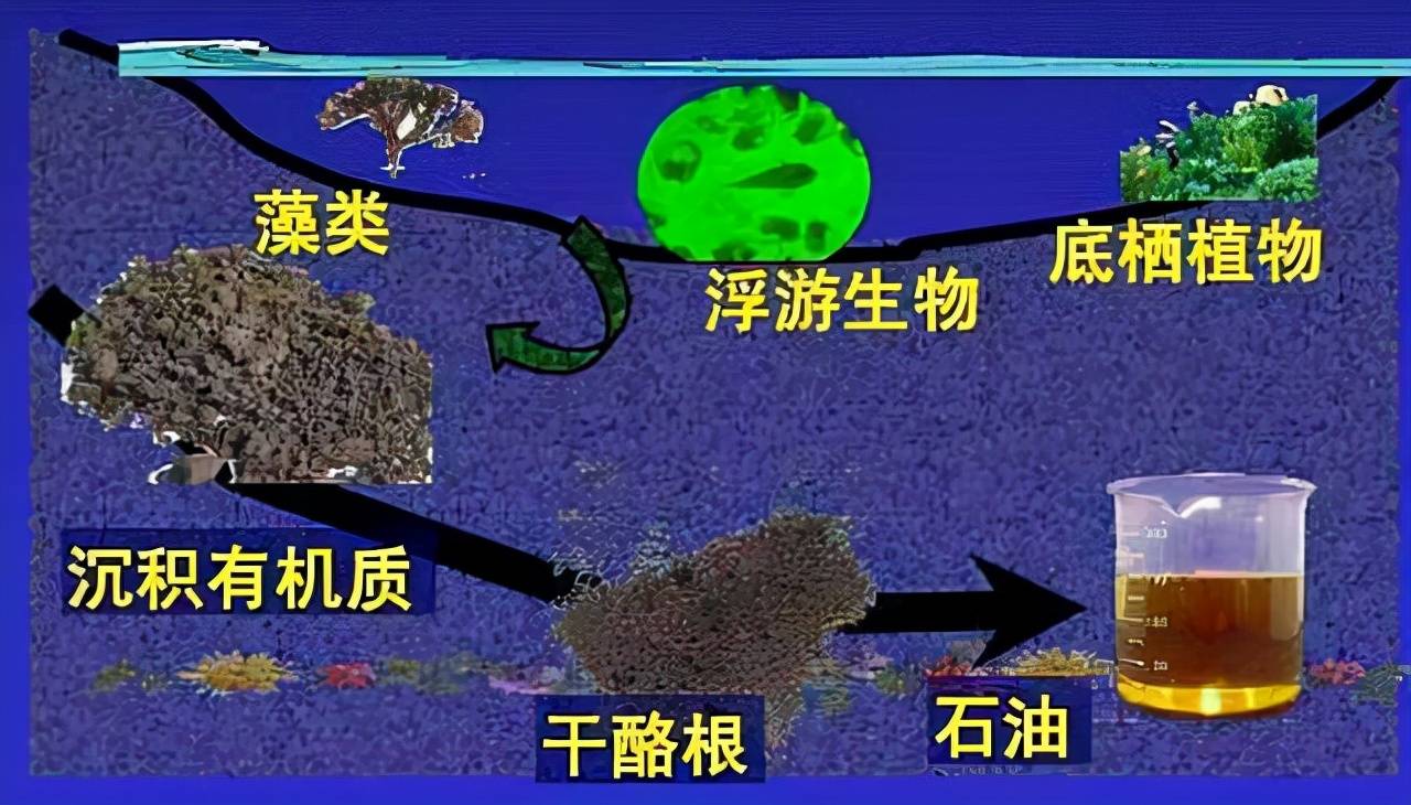 原创石油真的是古生物形成的吗一个油田上亿吨古代有那么多生物