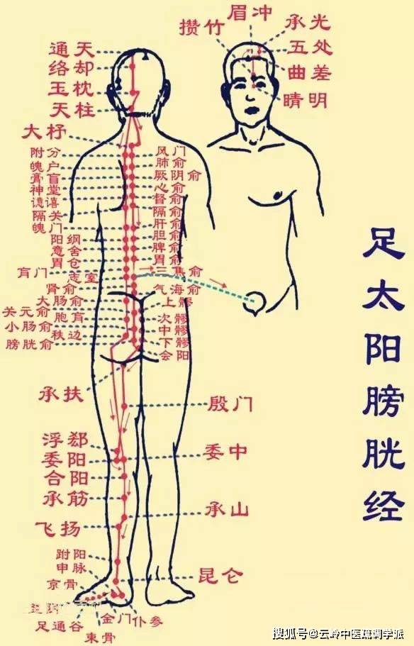 《疏調雲講堂》第七十期 中醫氣機理論(二十九)_人體_三焦_古人