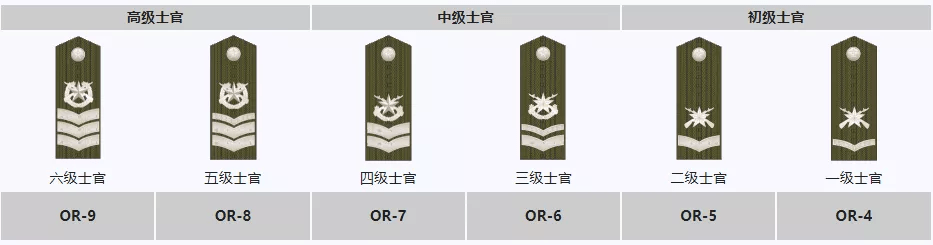 "兵王"是怎样诞生的?_一级军士长_士官长_军衔