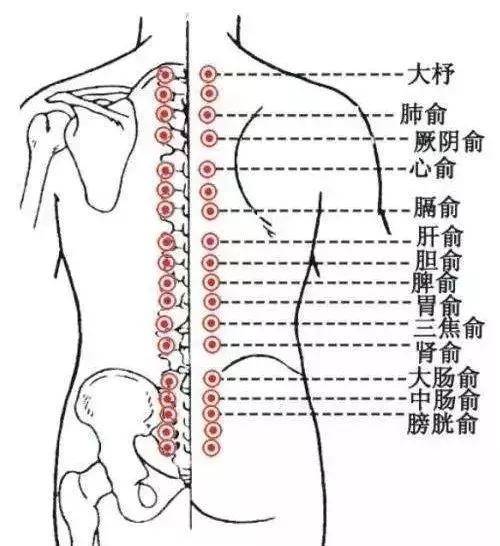 睡眠|安军明主任医师针灸背俞穴为主治疗不寐一则