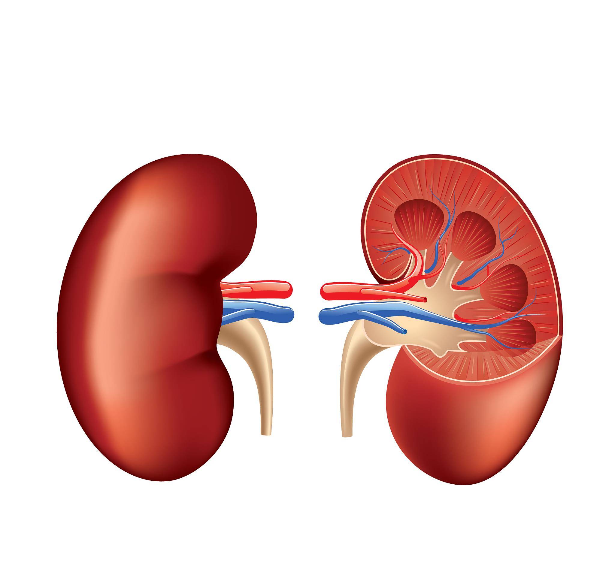 治疗|得了尿毒症，该如何来治疗？希望你别轻易放弃