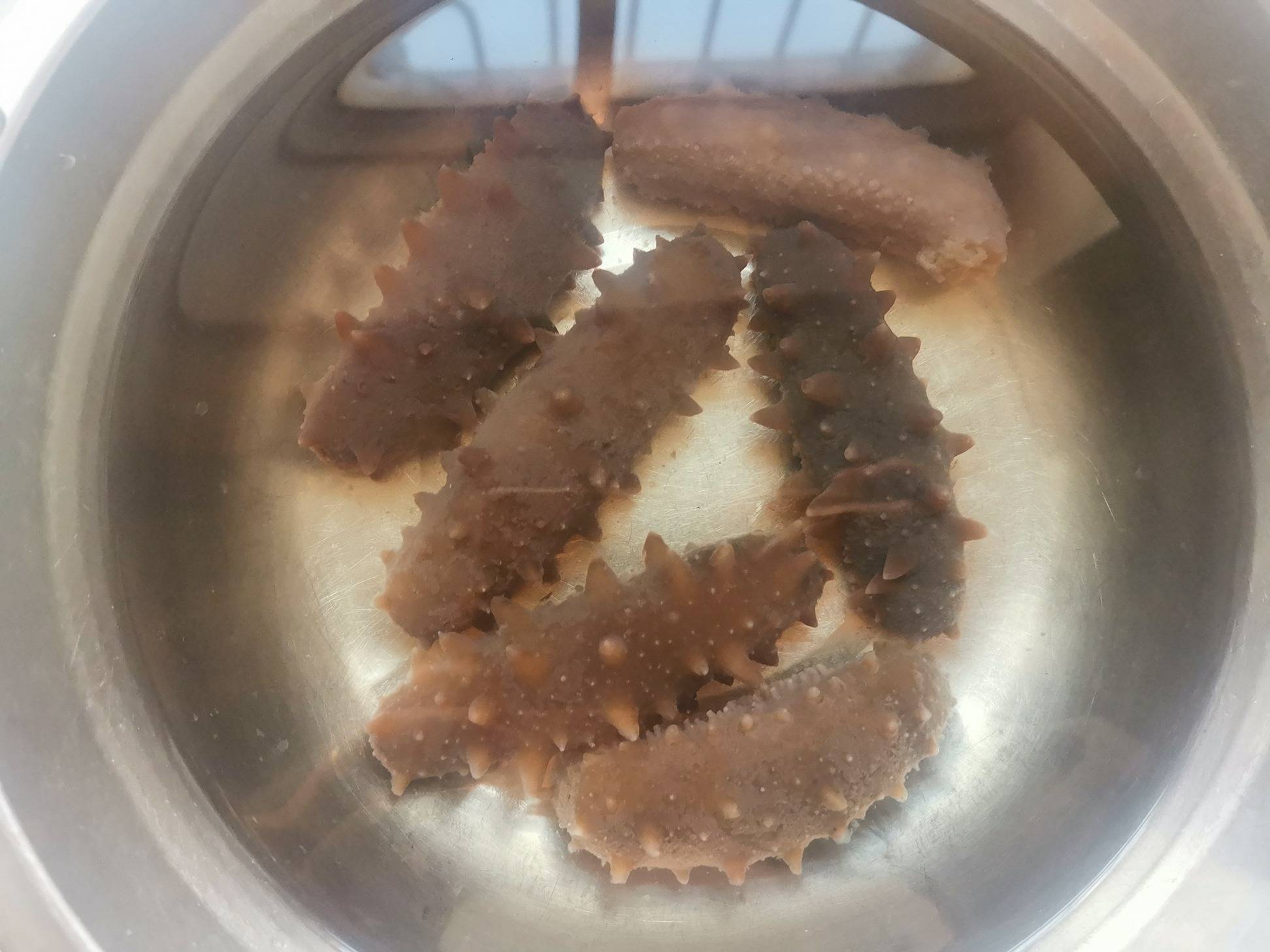 年底了,教会你海参的泡法,简单2步就搞定,再也不用走弯路,别错过_刺参