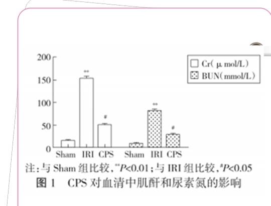 水平|肾友每日一问：辣椒会辣到肾吗？