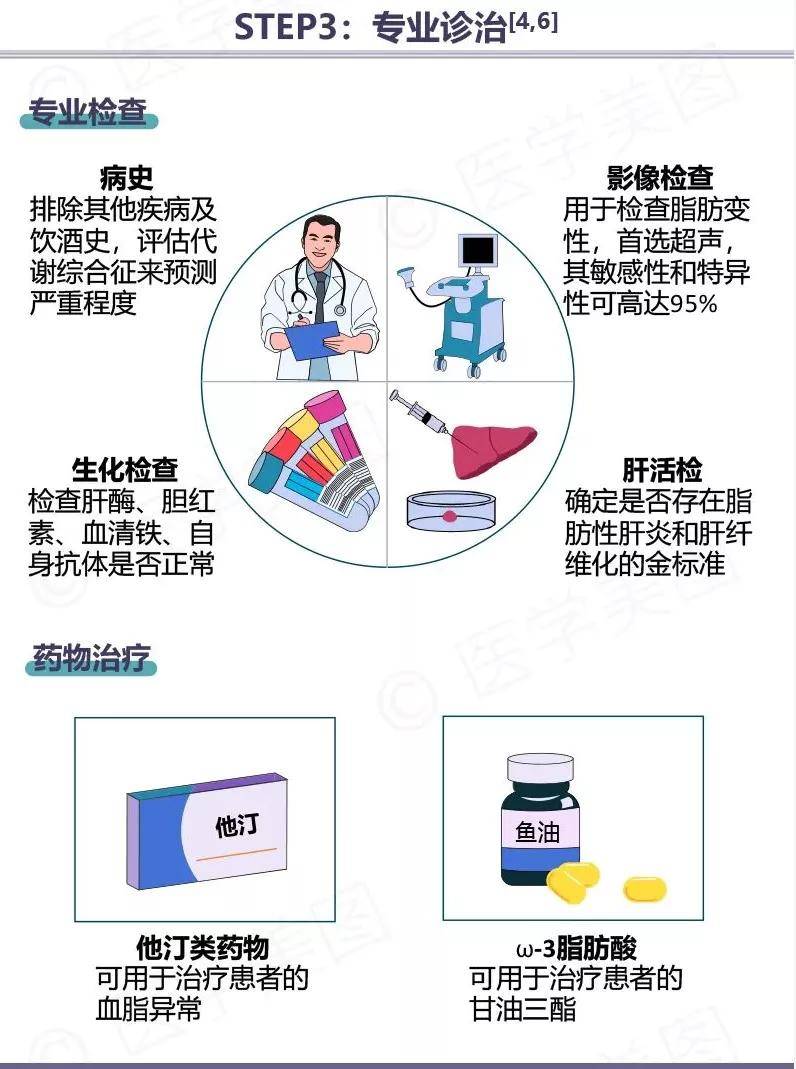 高脂肪|体检发现脂肪肝，该如何处理呢？