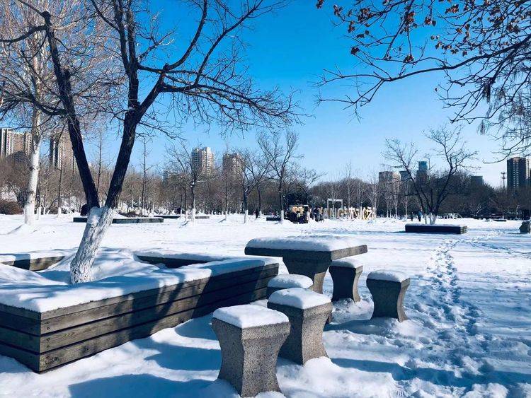 诗歌|诗歌：与你相遇（外三首）