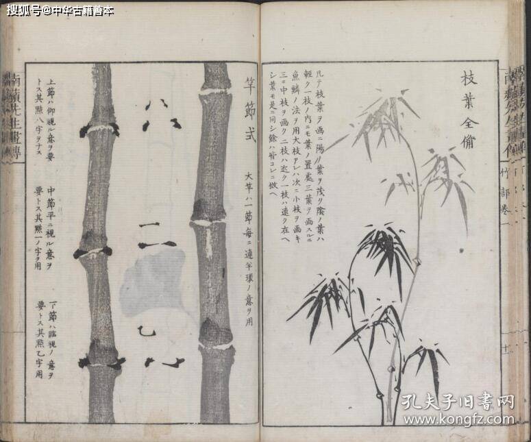 熊代|兰斋画谱：沈南苹再传弟子所编，日本的《芥子园画传》