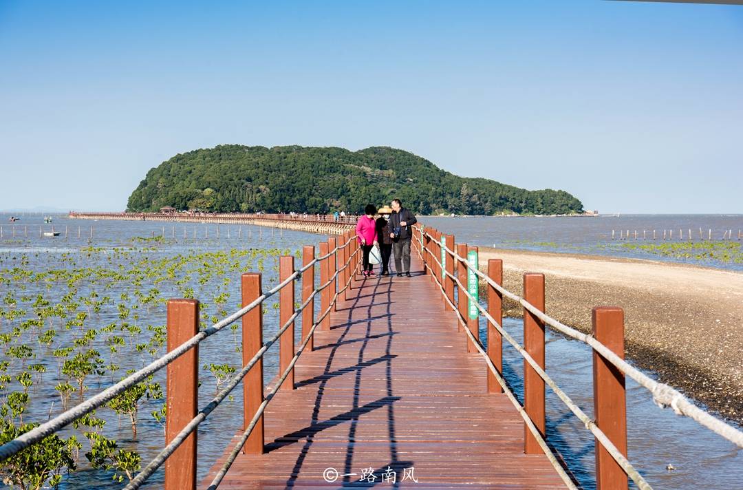 湛江市|广东两座适合避寒的城市，冬天依然繁花似锦，适合老年人去度假